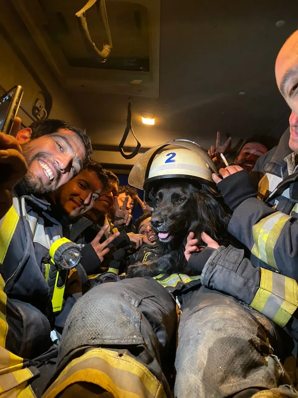 Voluntarios junto a una mascota rescatada